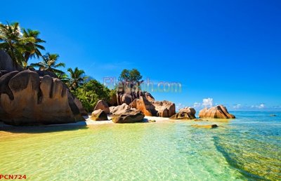 Hình ảnh file gốc in lụa File tranh phong cảnh thiên nhiên PCN724