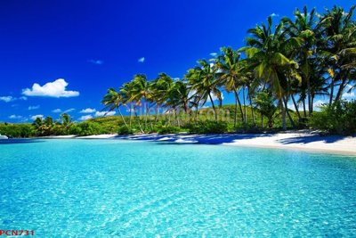 File gốc File tranh phong cảnh thiên nhiên PCN731 (PNG) chất lượng cao