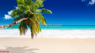 File tranh File tranh phong cảnh thiên nhiên PCN749 (ảnh gốc) không bị mờ