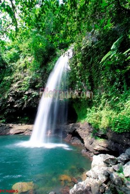 File PSD File tranh phong cảnh thiên nhiên PCN805 (gốc) cho designer