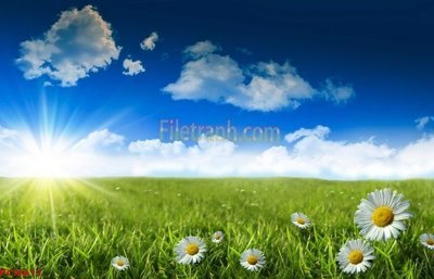 File tranh File tranh phong cảnh thiên nhiên PCN811 (bản gốc) in lụa 5D