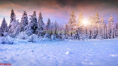 File ảnh File tranh phong cảnh thiên nhiên PCN828 (gốc) in decal dán tường