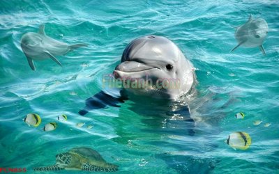 File tranh File tranh phong cảnh thiên nhiên PCN855 (gốc) in trên kính