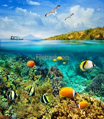 File PSD File tranh phong cảnh thiên nhiên PCN916 (chất lượng in ấn)