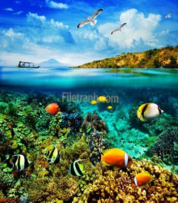 File tranh File tranh phong cảnh thiên nhiên PCN923 (gốc) chủ đề động vật