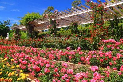 Tải file gốc File tranh phong cảnh thiên nhiên PCN933 (bản PSD) chỉnh sửa được