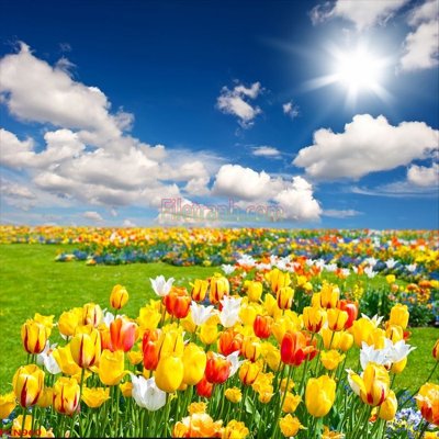 Tải file gốc File tranh phong cảnh thiên nhiên PCN960 (in tráng gương) 5DFile gốc File tranh phong cảnh thiên nhiên PCN960 (in ấn) phiên bản premium