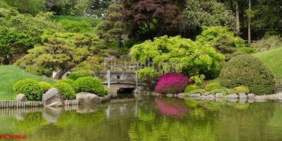 File tranh gốc File tranh phong cảnh thiên nhiên PCN966 (bản quyền) Filetranh.com