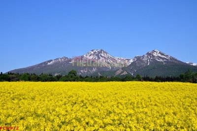 Tải file File tranh phong cảnh thiên nhiên PCN972 (gốc) in trên mọi chất liệu