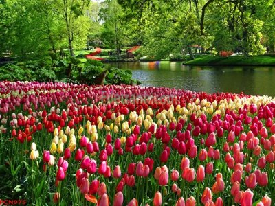 Tải file File tranh phong cảnh thiên nhiên PCN975 (gốc) làm tranh trang trí