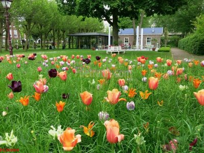 Download file File tranh phong cảnh thiên nhiên PCN984 (chất lượng in ấn)