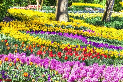 Tải file gốc File tranh phong cảnh thiên nhiên PCN998 (in khổ lớn) không mờ