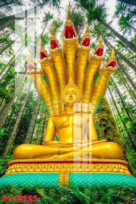 Tải file File tranh phật giáo PG12123 (gốc) chủ đề hoa sen