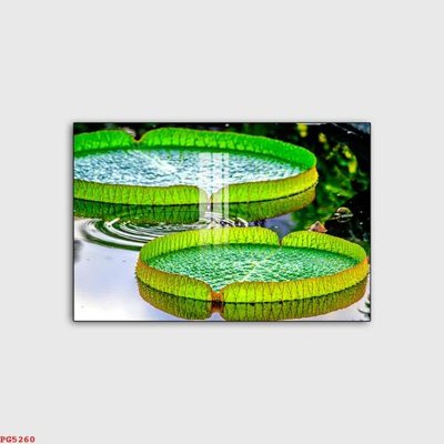 File tranh File tranh phật PG5260 (bản gốc) in lụa dán tường