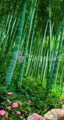 Tải file gốc File phong thủy đứng thác nước PTD2104 (in tráng gương) 3DFile gốc File phong thủy đứng thác nước PTD2104 (sẵn sàng in) chất lượng cao