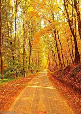 File gốc File phong thủy đứng thác nước PTD348 (thiết kế) cho in ấn