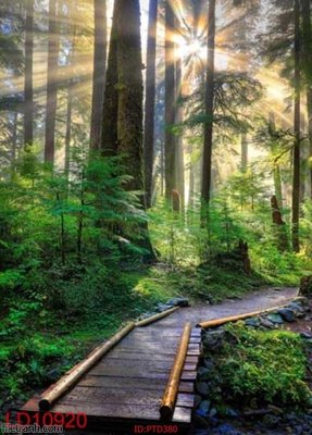 Download file gốc File phong thủy đứng thác nước PTD380 (in lụa) nghệ thuật