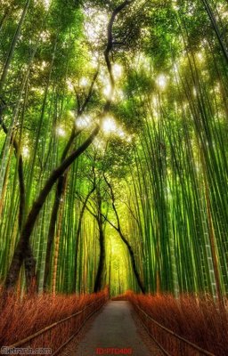 Ảnh gốc File phong thủy đứng thác nước PTD400 (độ nét cao) in tráng gương