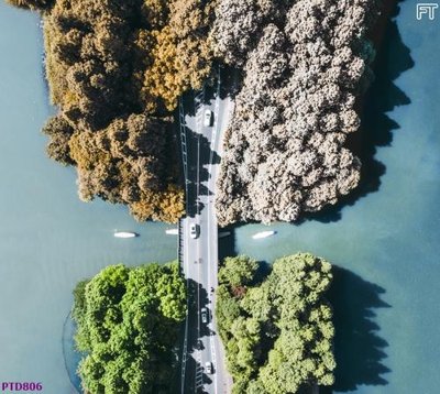 File in trần File phong thủy đứng thác nước PTD806 (bản gốc) hoa văn