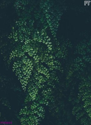 File gốc in tráng gương File phong thủy đứng thác nước PTD844 chi tiết