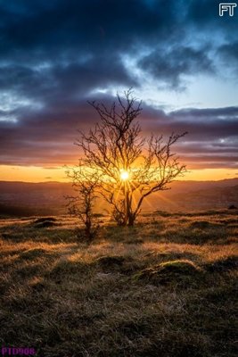 Tải về file gốc File phong thủy đứng thác nước PTD908 (dùng cho in quảng cáo)