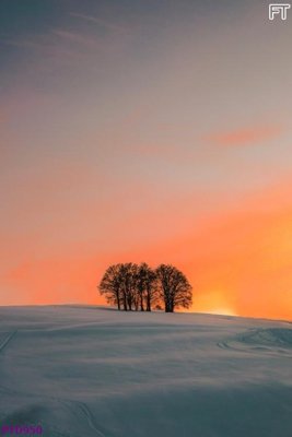 File in ấn File phong thủy đứng thác nước PTD950 (bản gốc) sắc nét