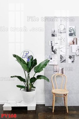 Download file File gốc in phông live tream phòng phát sóng trực tiếp PV168 (gốc) in mica đèn LED