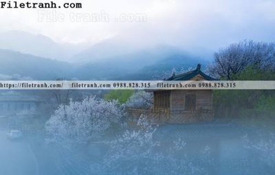 File in trần Phong canh toa nha co Zhang Jiangnan 113 (bản gốc) trời sao