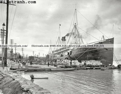 File PSD Proteus_ 1903 (nguyên bản) cho thiết kế