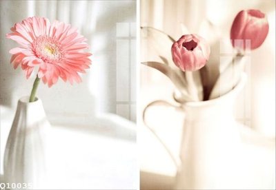 File ảnh File gốc in tranh tổng hợp Q10035 (gốc) dùng in Pano