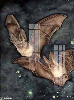 Tải file File gốc in tranh tổng hợp Q10080 (ảnh gốc) file TIFF