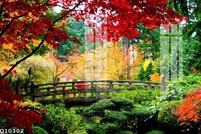 Download file gốc File gốc in tranh tổng hợp Q10302 (in lụa) tranh 3D