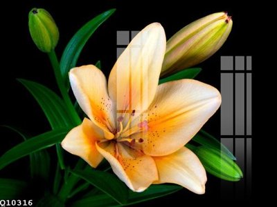 File gốc File gốc in tranh tổng hợp Q10316 (ảnh rõ nét) để in