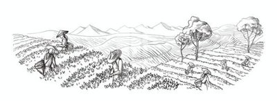 Ảnh mô tả file gốc in mica File gốc in tranh tổng hợp Q10425