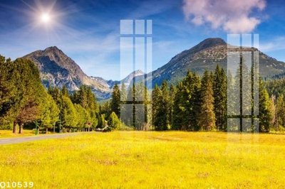 Mua file ảnh gốc File gốc in tranh tổng hợp Q10539 (chất lượng cao)