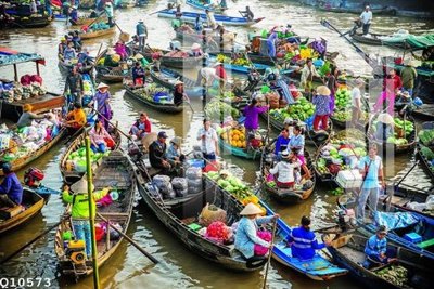 Cung cấp file tranh gốc File gốc in tranh tổng hợp Q10573 độc quyền