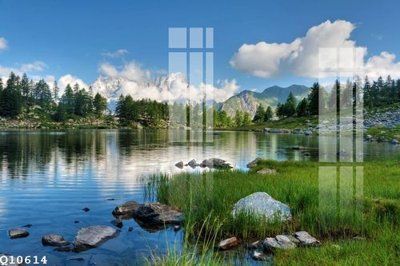 File in lụa File gốc in tranh tổng hợp Q10614 (hoa văn) File gốc in tranh tổng hợp Q10614