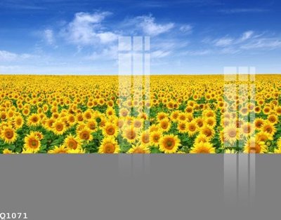 File tranh File gốc in tranh tổng hợp Q1071 (gốc) in vải canvas