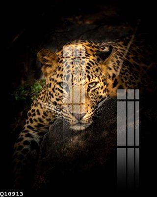 Download file gốc File gốc in tranh tổng hợp Q10913 (in mica) logo