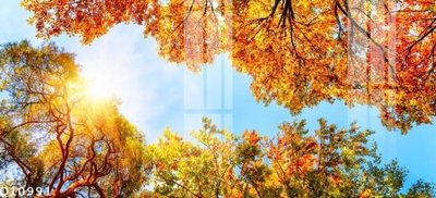 File ảnh File gốc in tranh tổng hợp Q10991 (gốc) in standee