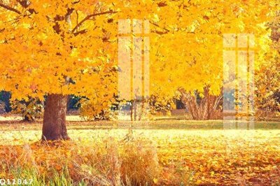 Tải file gốc File gốc in tranh tổng hợp Q11047 (in khổ lớn) quảng cáo