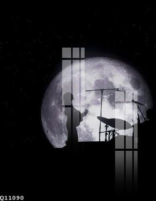 File tranh File gốc in tranh tổng hợp Q11090 (gốc) chủ đề động vật