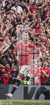 Tải file gốc File gốc in tranh tổng hợp Q11175 (in khổ lớn) không vỡ