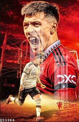 File in trần File gốc in tranh tổng hợp Q11264 (bản gốc) hoa văn