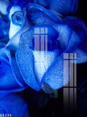 File in ấn File gốc in tranh tổng hợp Q1132 (bản gốc) sắc nét