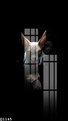 File gốc File gốc in tranh tổng hợp Q1145 (chuẩn CMYK) cho nhà in