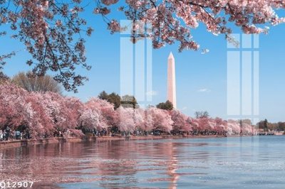 Download file File gốc in tranh tổng hợp Q12907 (chuẩn in) chất lượng cao