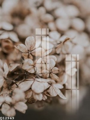 File PSD File gốc in tranh tổng hợp Q12949 (nguyên bản) cho thiết kế