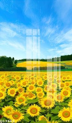 File gốc File gốc in tranh tổng hợp Q13463 (in lụa) tranh phong thủy