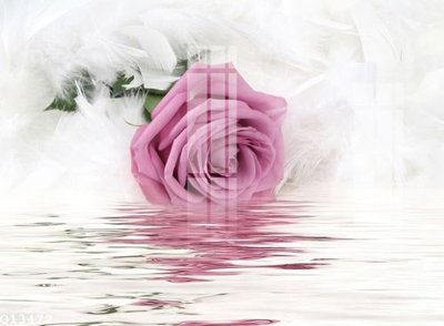 Download file gốc File gốc in tranh tổng hợp Q13472 (dùng cho in ấn)